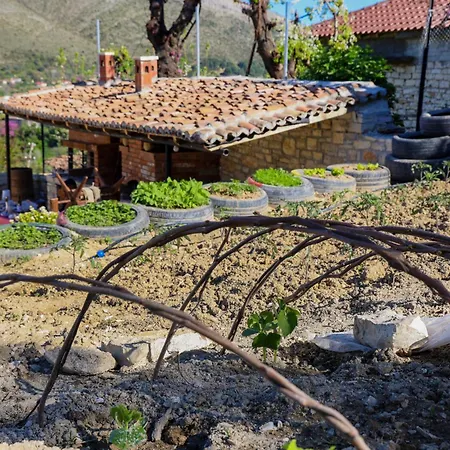 Guest house Shpiragu Village Experience