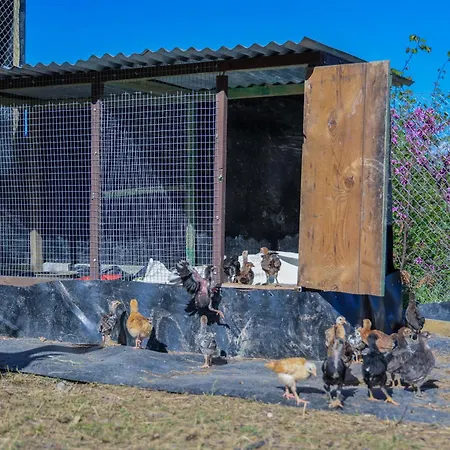 Pensjonat Shpiragu Village Experience