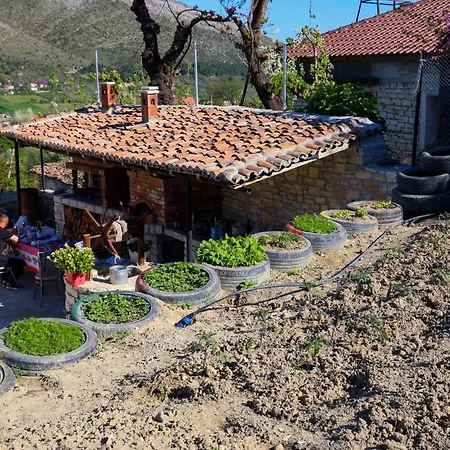 Shpiragu Village Experience Pensjonat