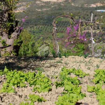 Shpiragu Village Experience Berat