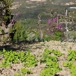 Shpiragu Village Experience Berat