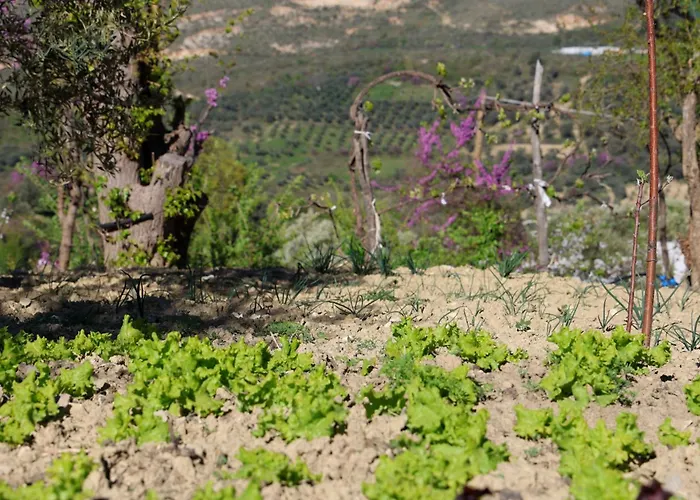 Shpiragu Village Experience Berat