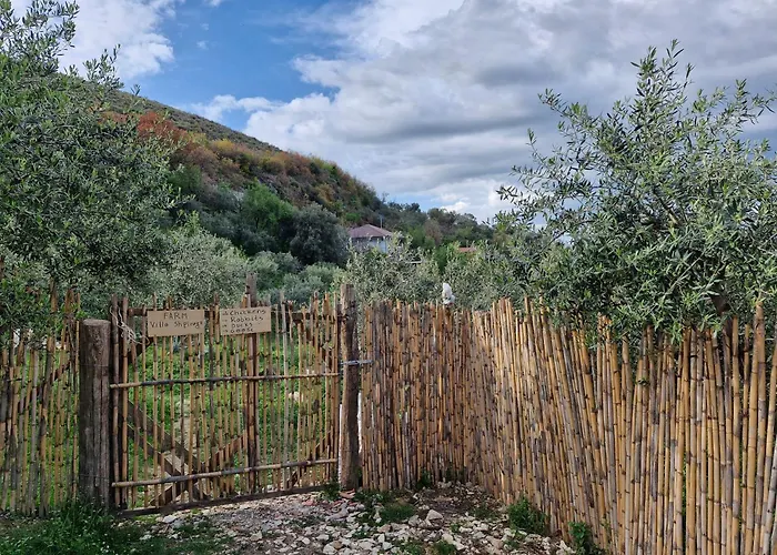 Shpiragu Village Experience Guest house